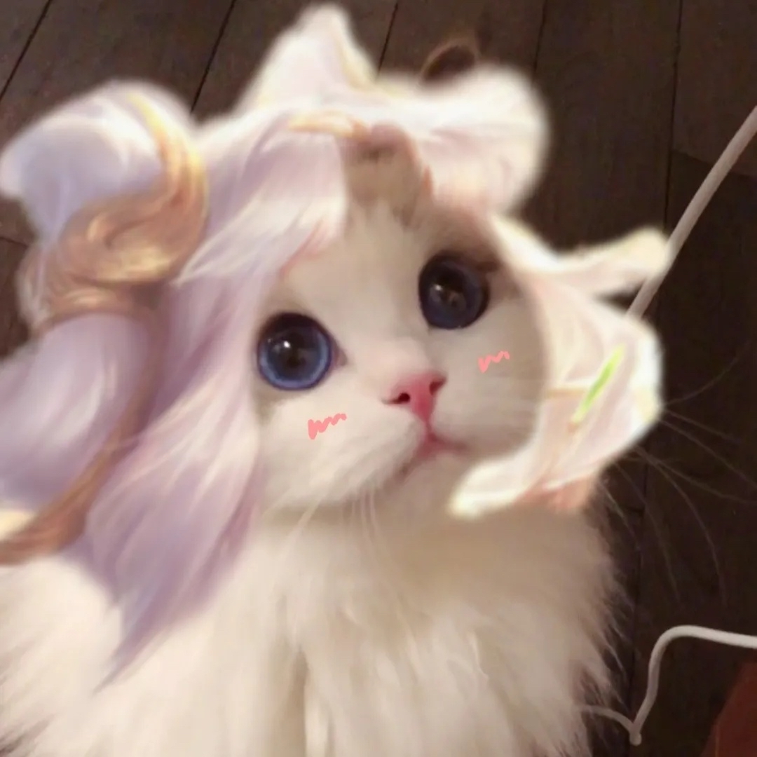 那个,你们那些接上王者发型的猫猫头能不能给我也整一个