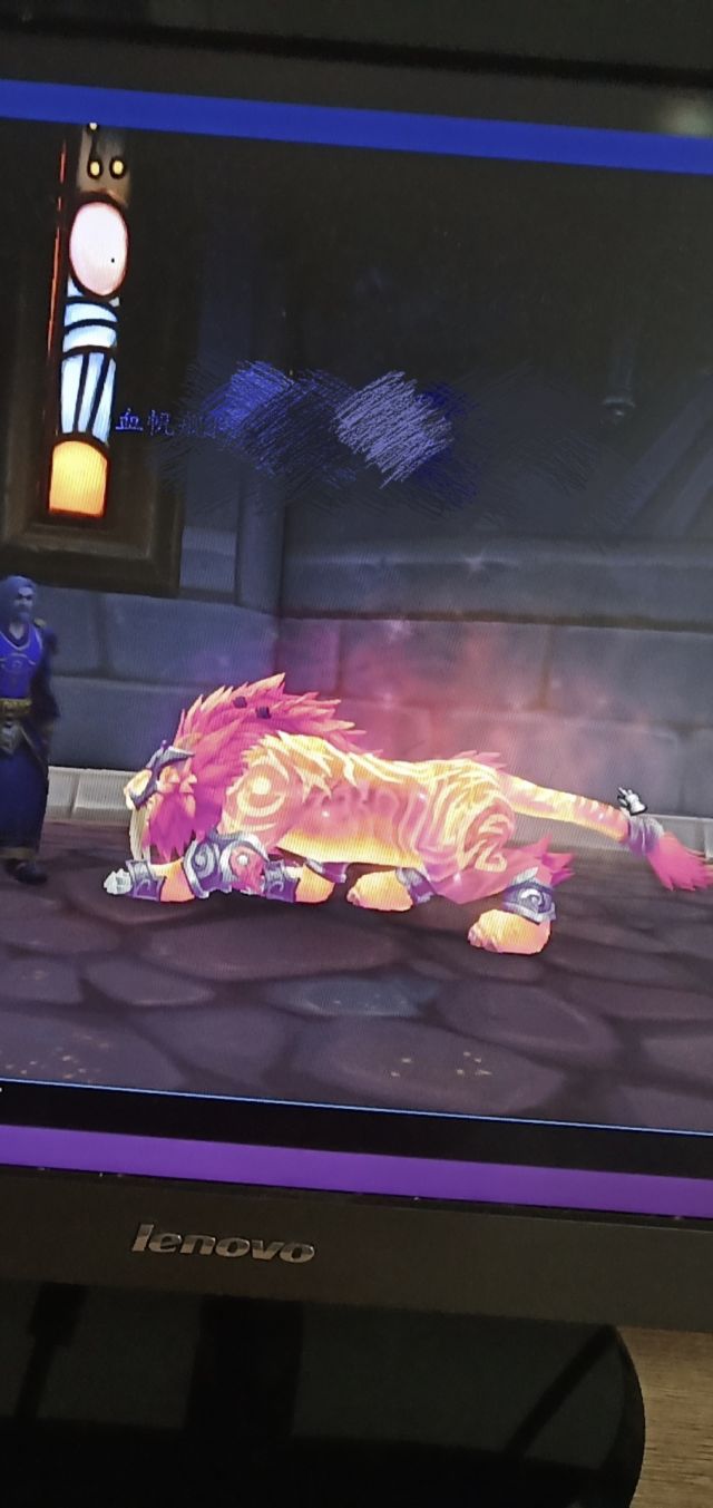 野德星光猫不香大家不要纠结