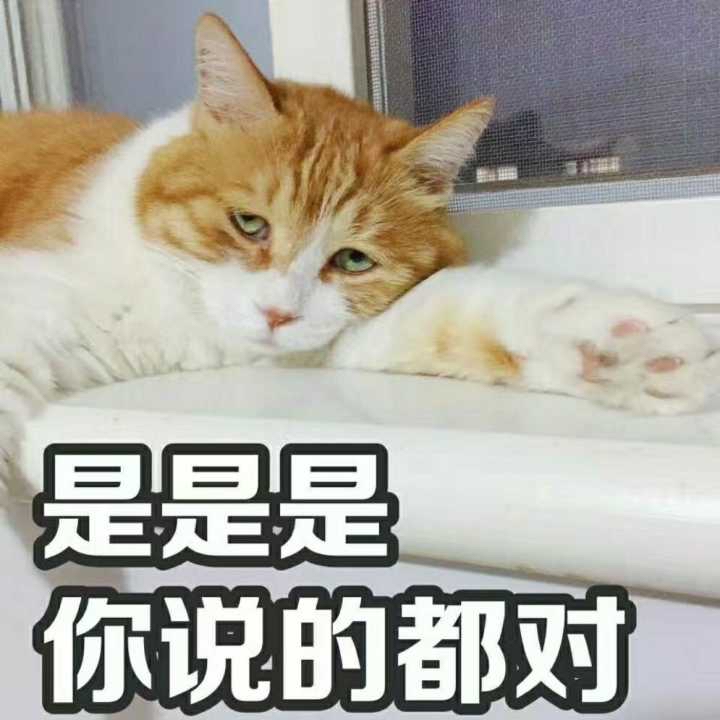 入坑40多天感觉到不知道怎么提高了