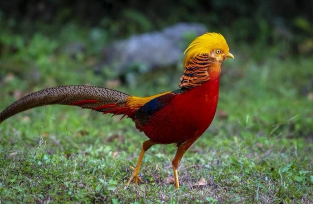 写山海经的这群人想象力真tm丰富啊