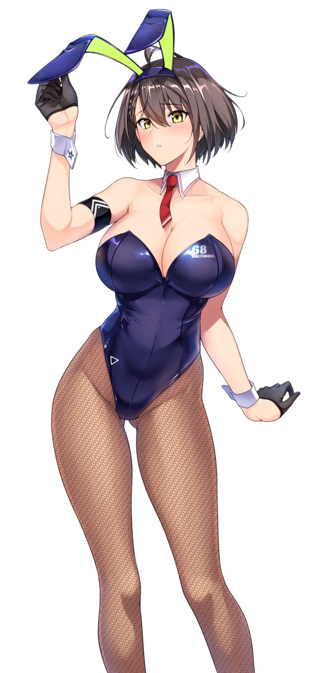 halcon老师的巴尔的摩兔女郎