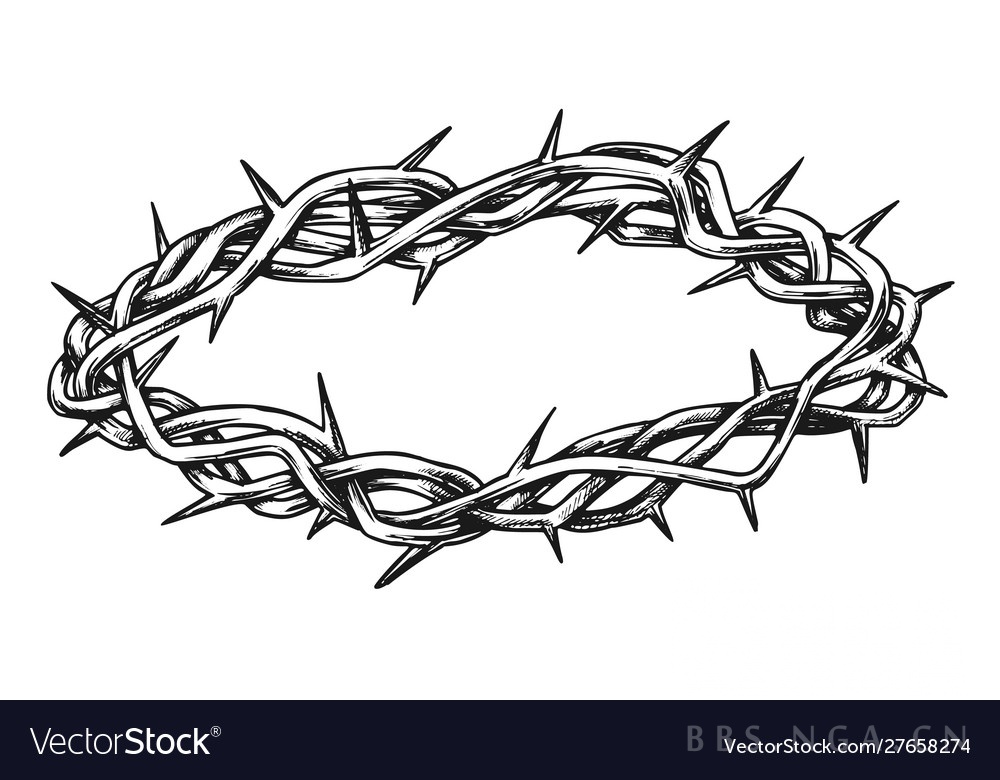 抛砖引玉氵棘刺氵考据科普关于棘刺原型的一点考据和科普