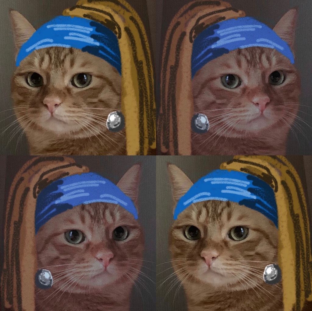 给你们看看戴珍珠耳环的小猫