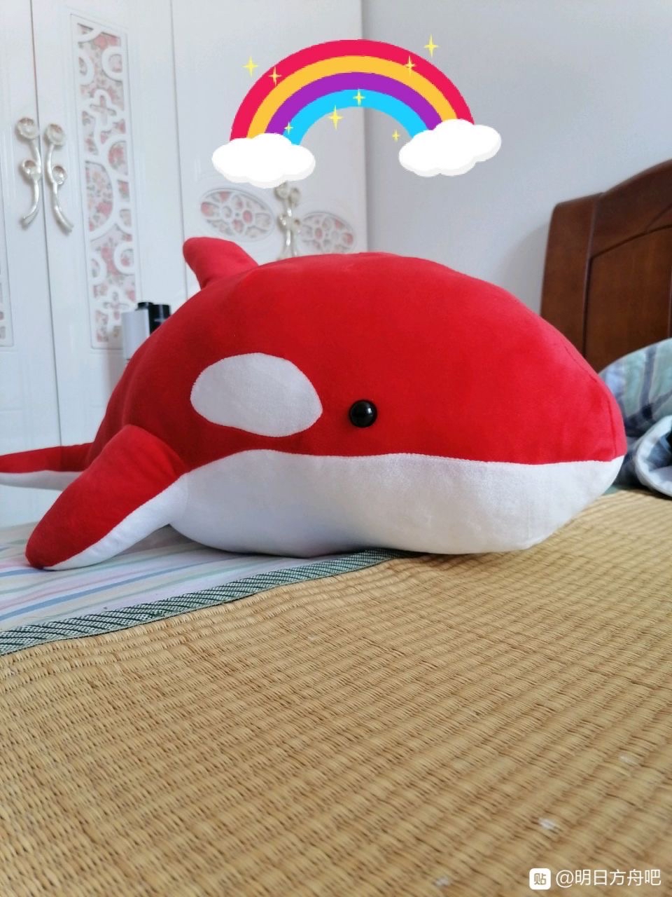 吧友的红色虎鲸到了