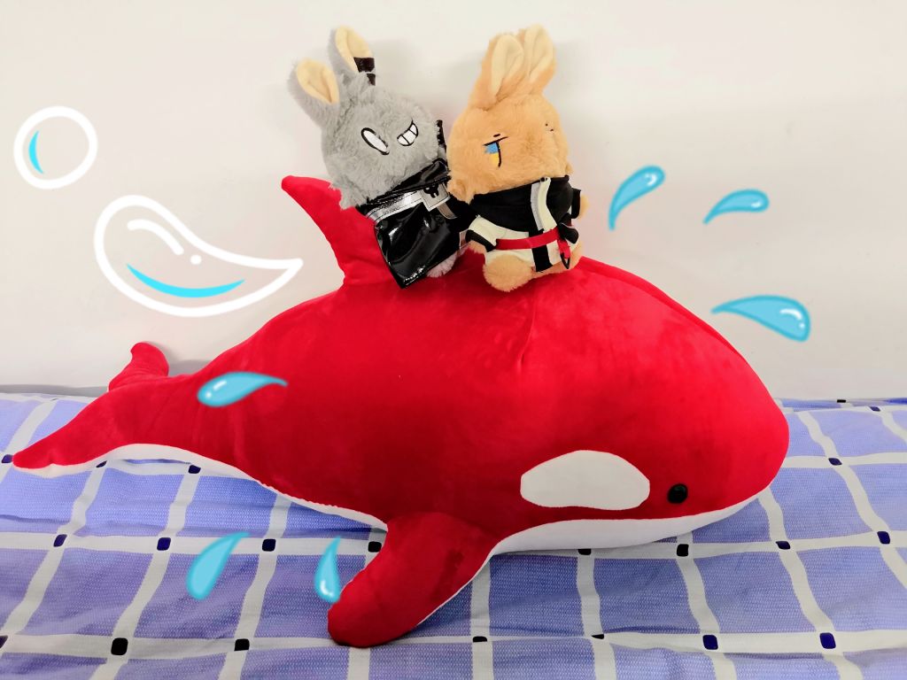 骑在红色虎鲸上冲浪是怎样的感觉呢