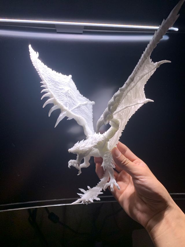 雄火龙喷涂成品