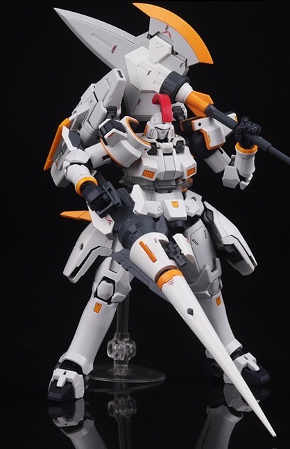 rg托鲁基斯素组完成