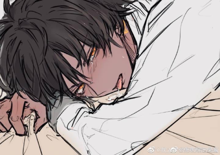 求助我要棘刺同人图