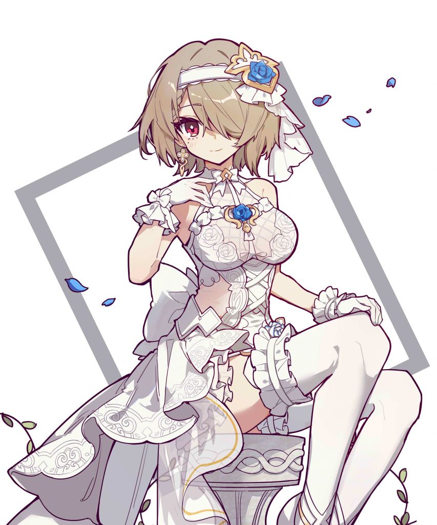 无聊氵丽塔花嫁什么时候会复刻