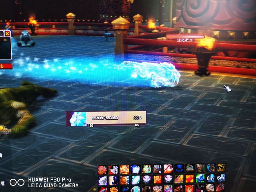 你们要的星光猫