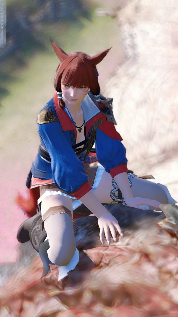 [幻化氵]小九cos分享(其实我是来晒猫的呜呜)[多图]