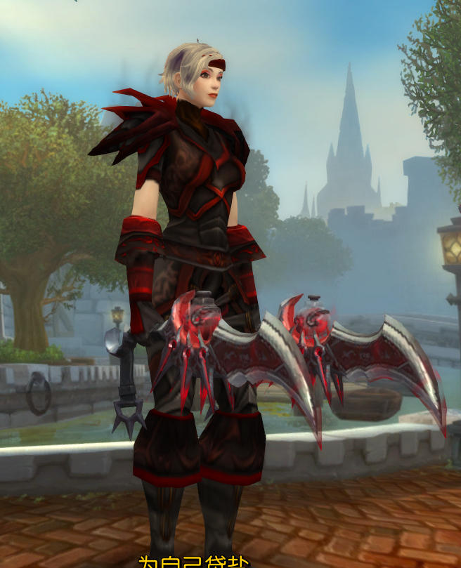 人类女盗贼最近换了脸型后感觉之前的幻化不一样了