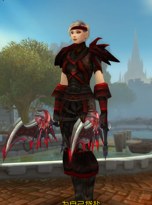 人类女盗贼最近换了脸型后感觉之前的幻化不一样了