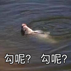 2020-10-21 14:37 我只想知道,楼主发贴目的是什么?