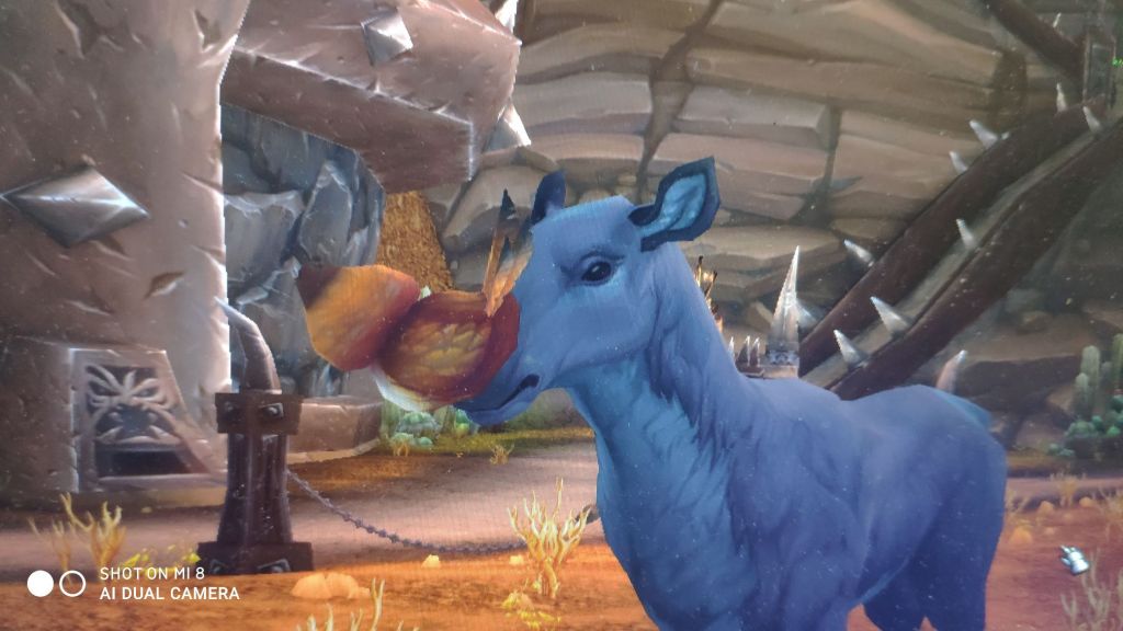 气抖冷母鹿什么时候才能站起来咕拳警告