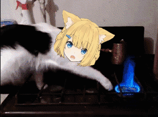 花园猫猫40w纪念回开始了,有兴趣的dd来看啊