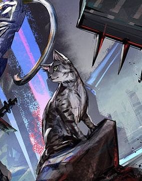 迷迭香氵想问一下迷迭香是什么品种的猫猫