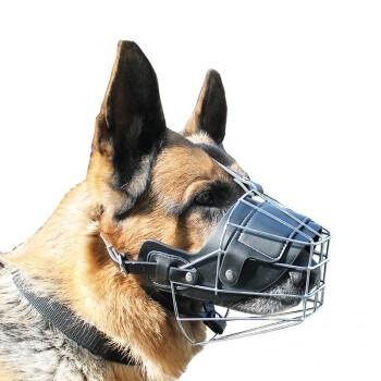 幻化氵就有没有大猫图是带就那个防止咬人的那东西那种