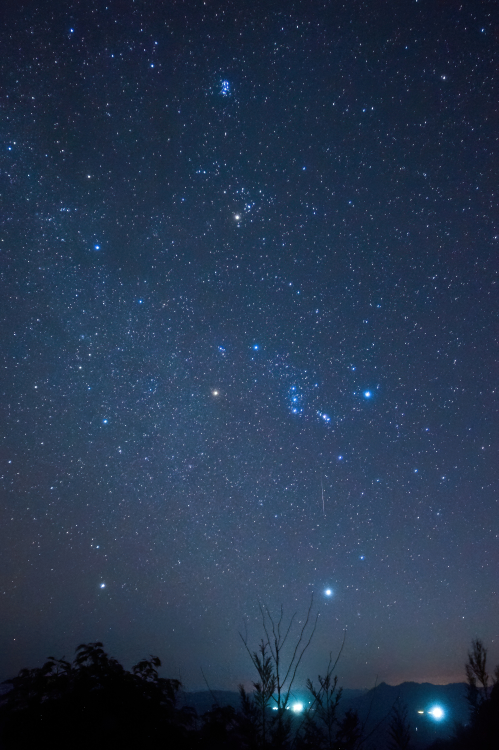 纯萌新想入坑nex5r,有无大佬分享捡垃圾经验