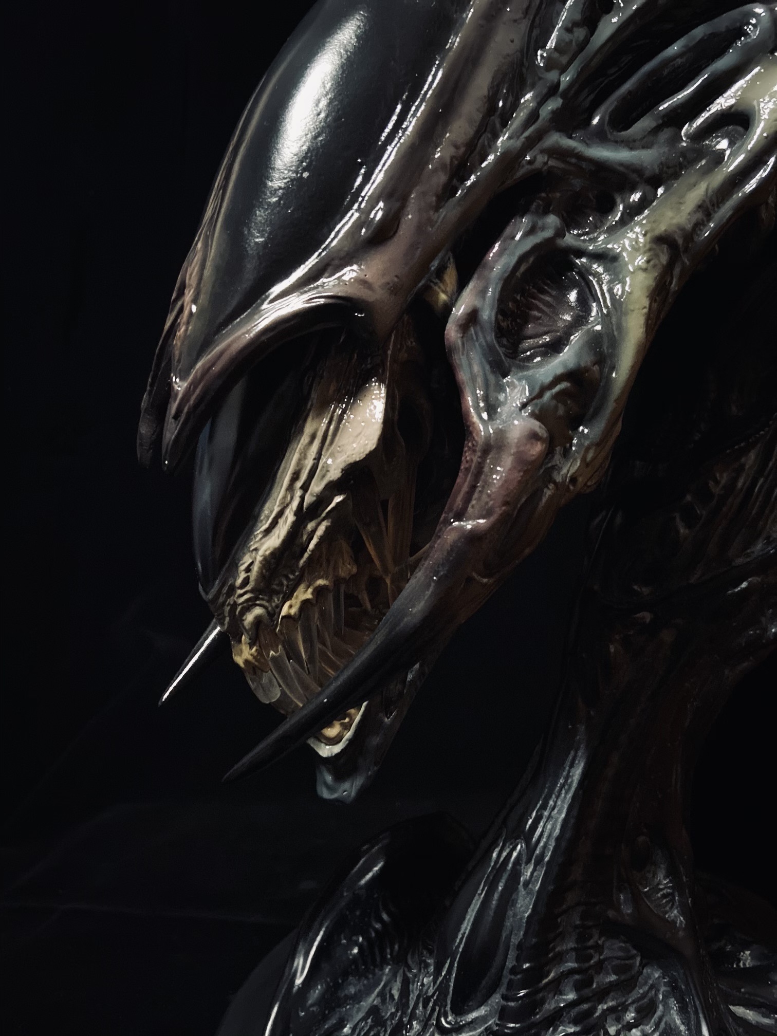 雕像开箱作业10sideshowlegendaryscale传奇系列异形女王胸像