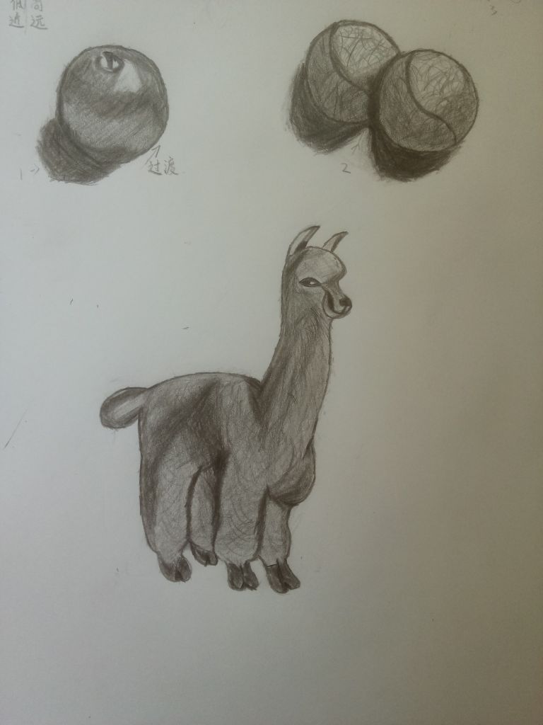 今天生日,画画新手画了个小羊驼
