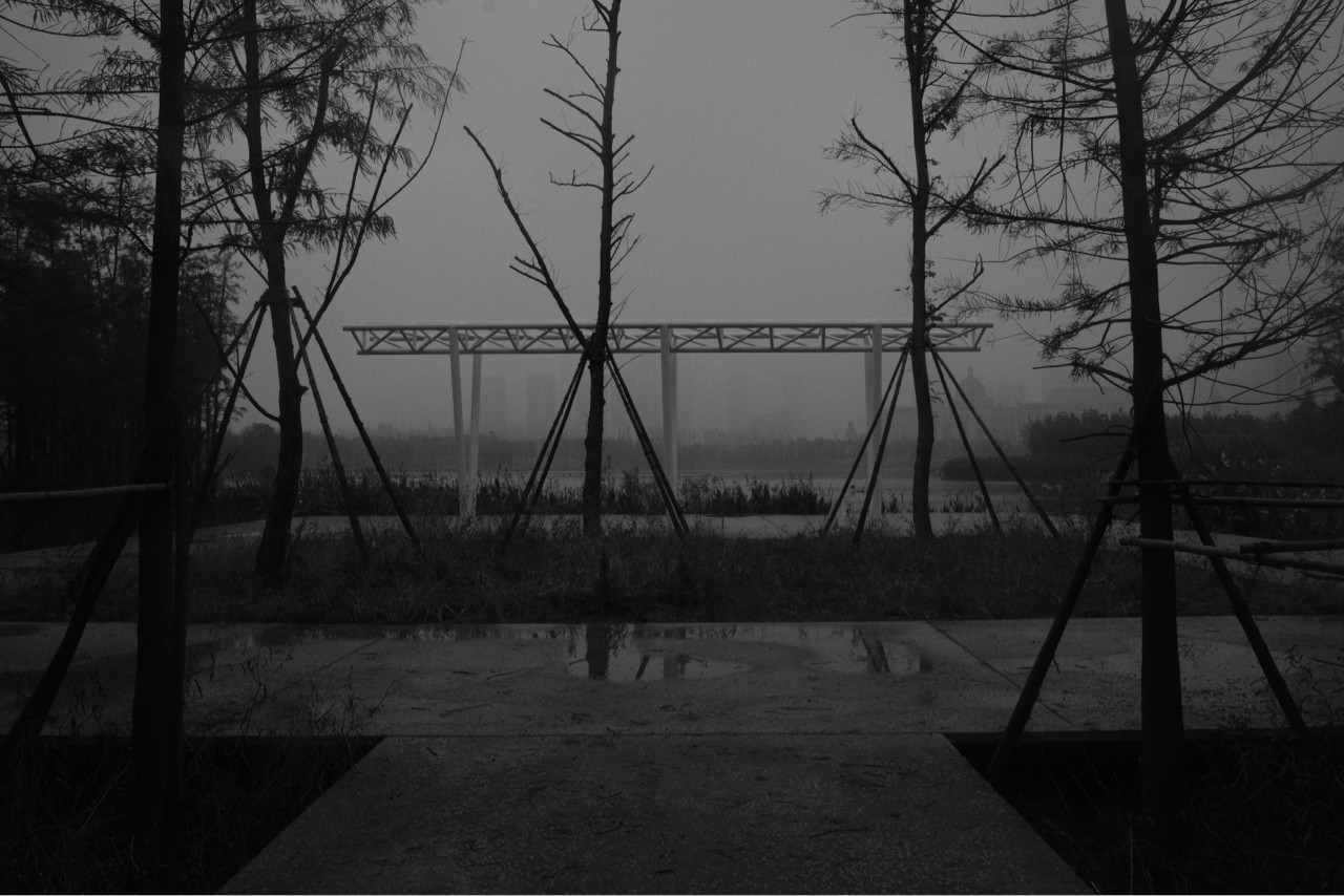 阴雨蒙蒙的天气里出门逛了一圈的黑白扫街