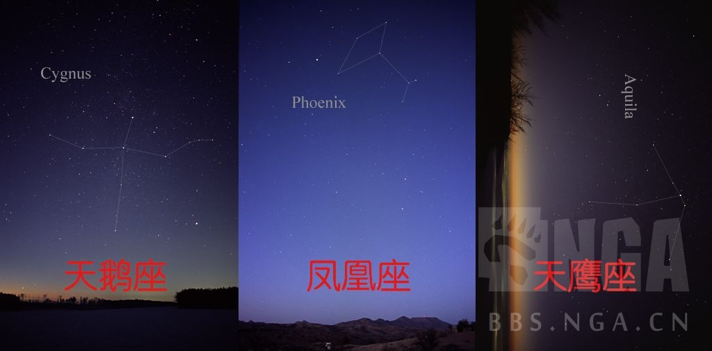 游戏本体星座诸神皮肤翻译细节艾尼维亚实为天鹅座主题