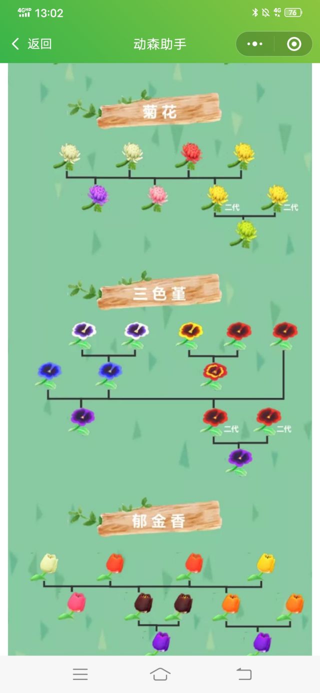 提问这个三色堇杂交图是不是错的