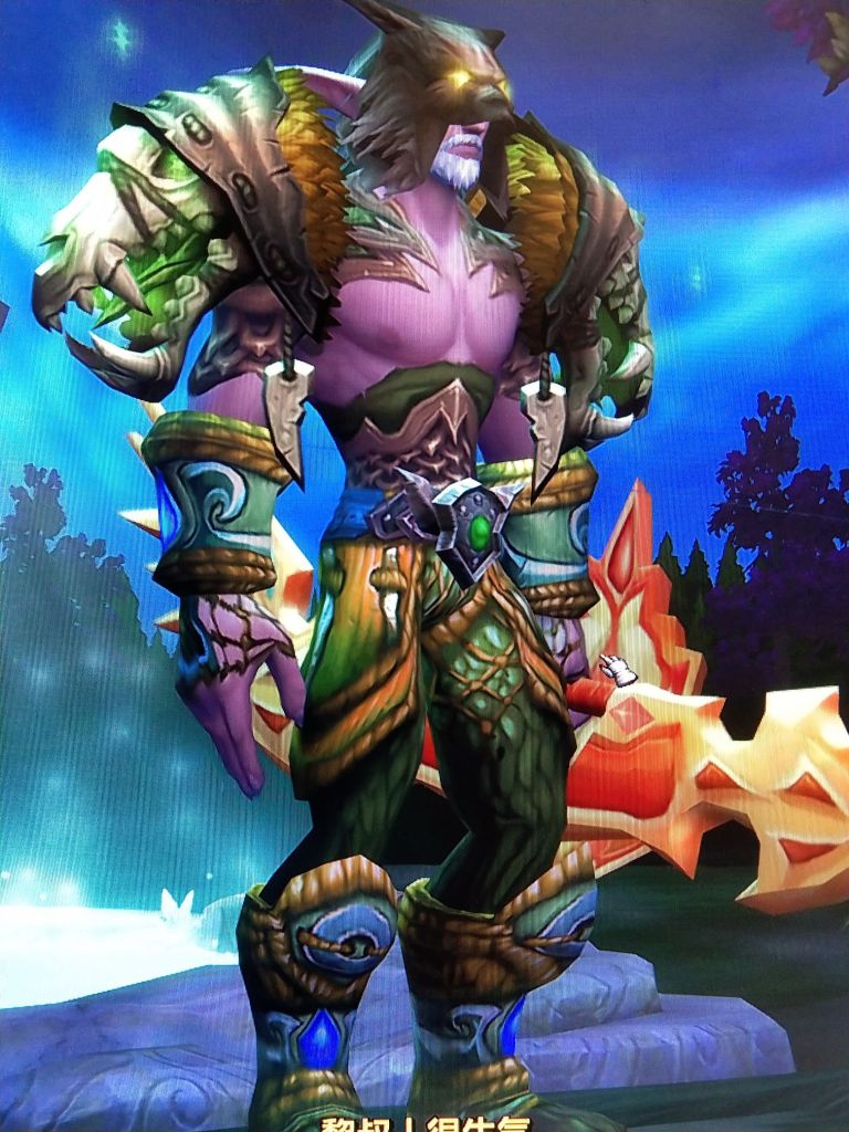 联盟猎人这边主要考虑幻化帅的种族,那个比较好,目前是矮人