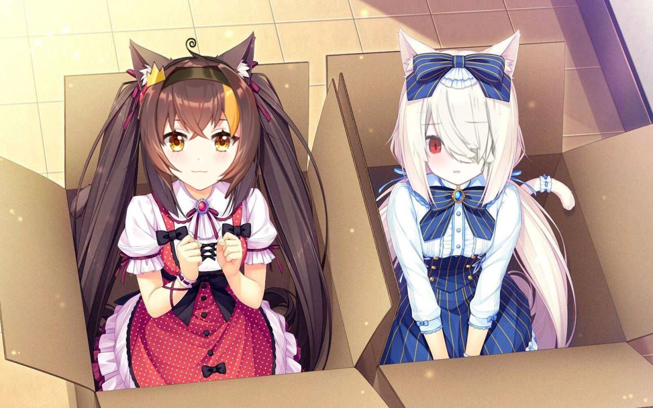 [grand paryi]帕里专楼 #播 宇宙人狼 (12/10 21:05)