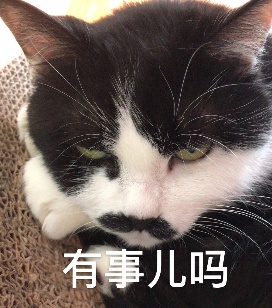 朋友家的猫学表情很快很到位