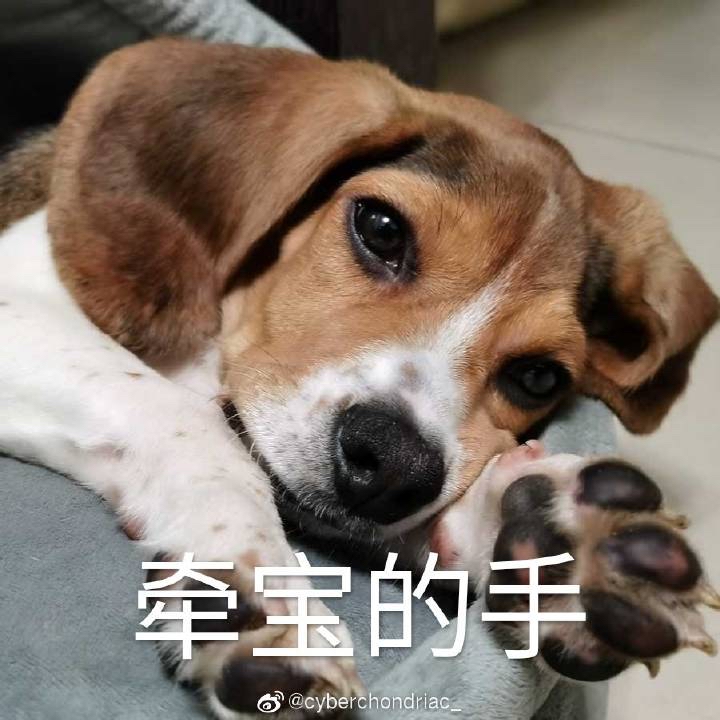 联动隔壁 有没有可爱or沙雕的狗勾表情包