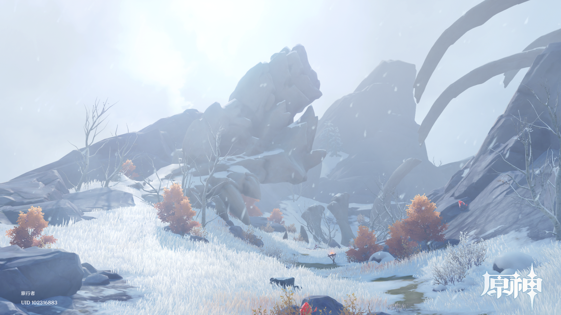 厨力放出拍照风景党龙脊雪山观光摄影长期更新中