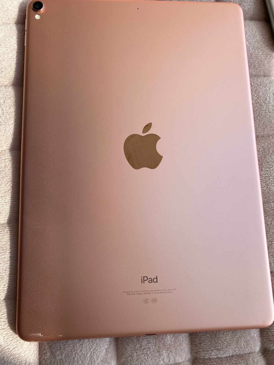 出一台ipad pro 10.5寸 256g wifi2017版 2499元