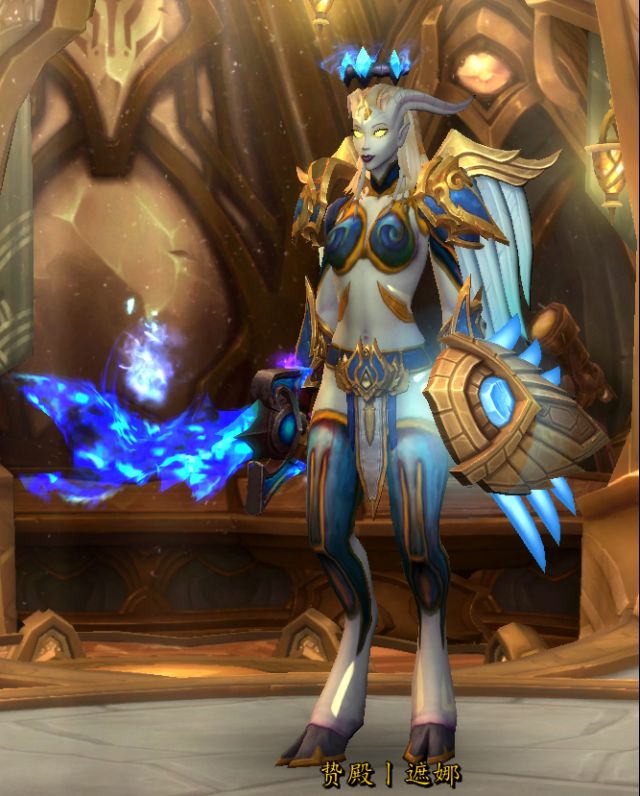 防骑幻化灰烬使者,不能同时显示盾牌吗