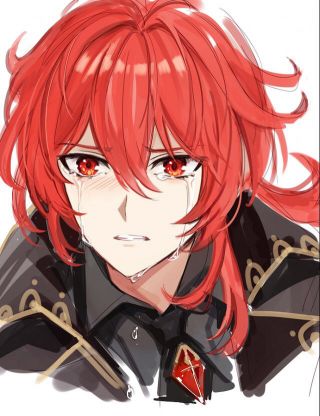 厨力放出请问各位有没有有凯亚x迪卢克的图呀