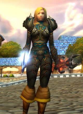 我觉得t3套装最丑的就是盗贼的