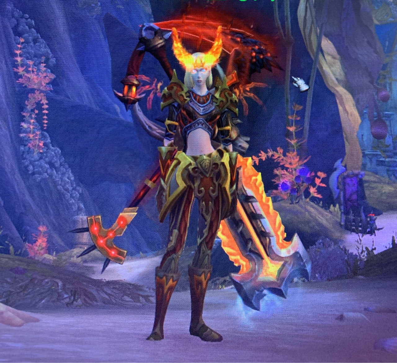 血精灵骑士真帅