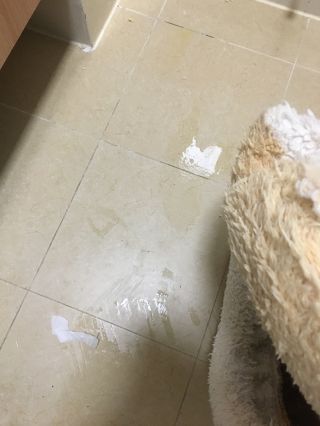 猫咪发情到处乱尿怎么办啊我要哭了棉絮怎么清理呀