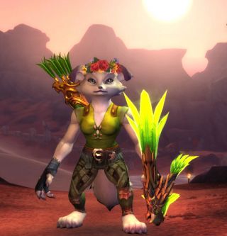 求一套狐人猎人幻化