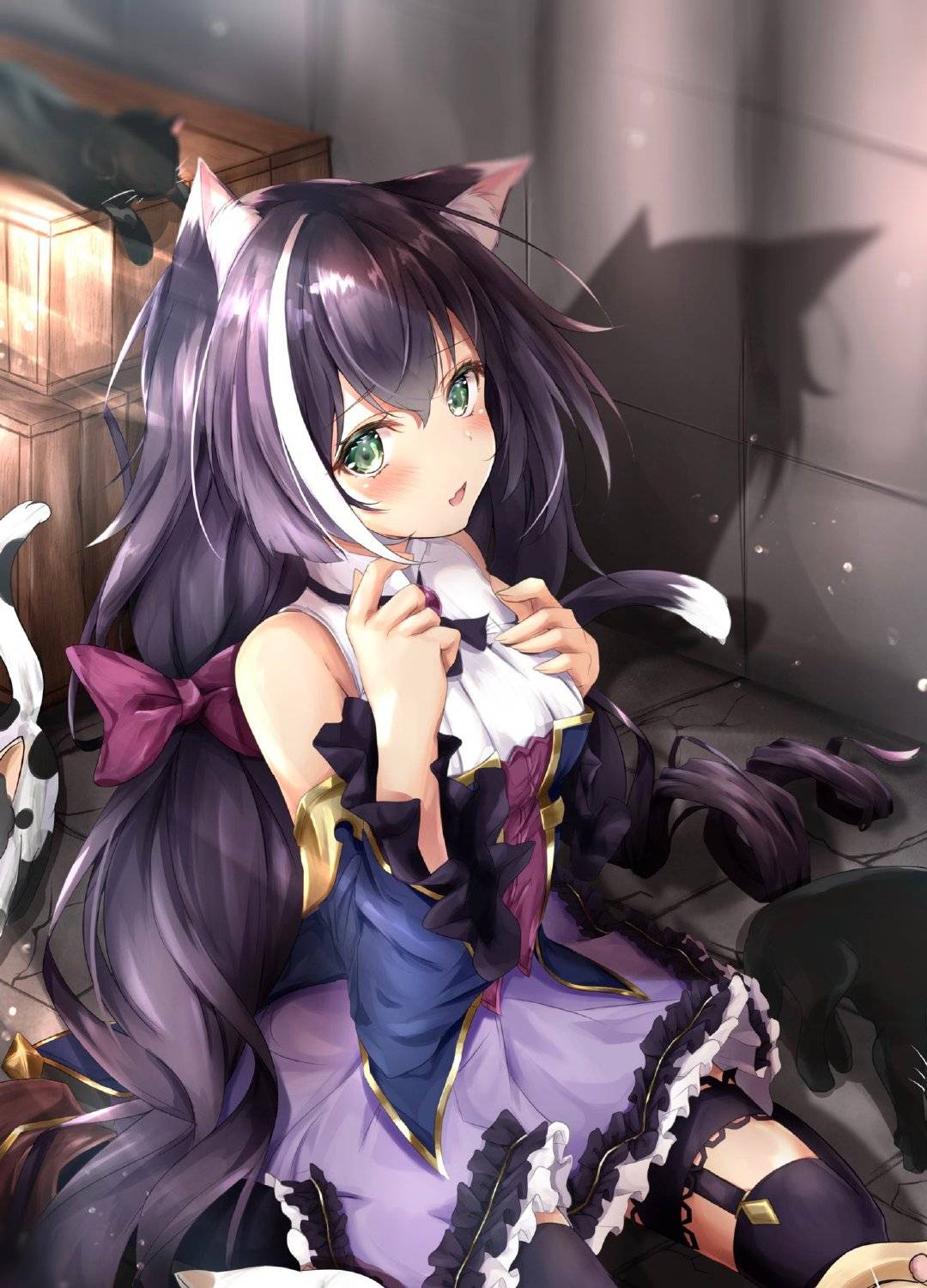 为什么我对三次元的喵娘喜欢不起来啊