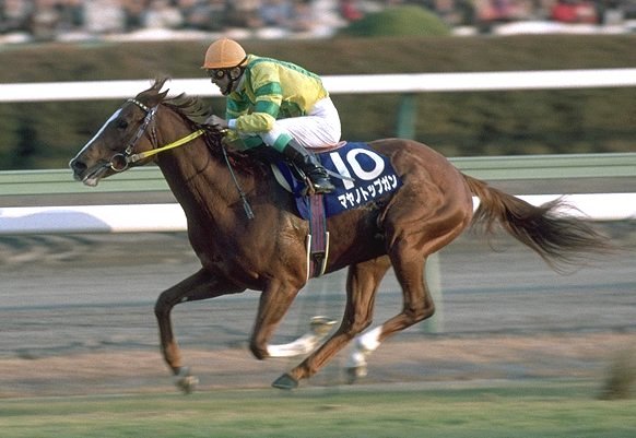 闲聊杂谈马娘安利重炮你的小可爱突然出现