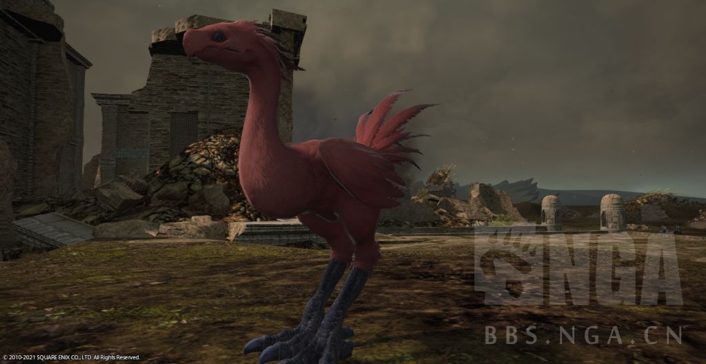 提问氵问一下博兹雅那种陆行鸟是什么红