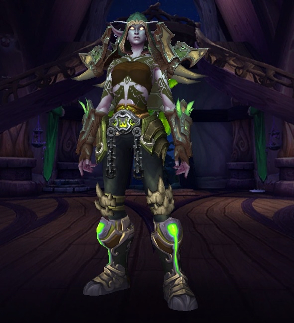 稀有物种邪能夜之子猎人幻化