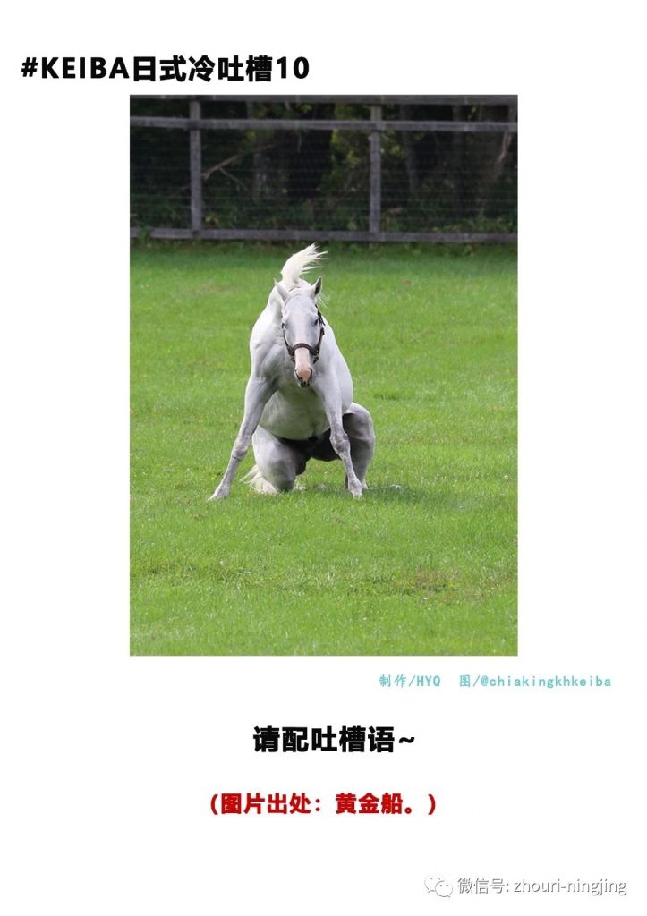 [不是空手套图] xdm来点赛马娘表情包