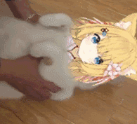 xdm无内鬼,来点v的表情包 nga玩家社区