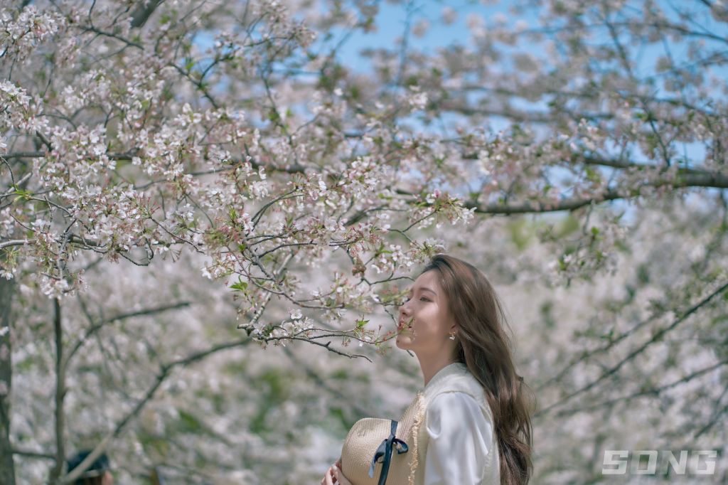 苏州上方山拍樱花和媳妇