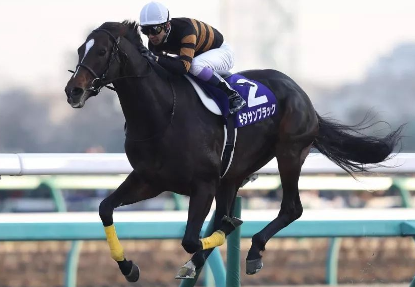 现实故事介绍一下我们的第三季男主北部玄驹