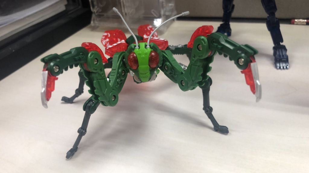 其他收藏猛兽匣的螳螂到了好大一个