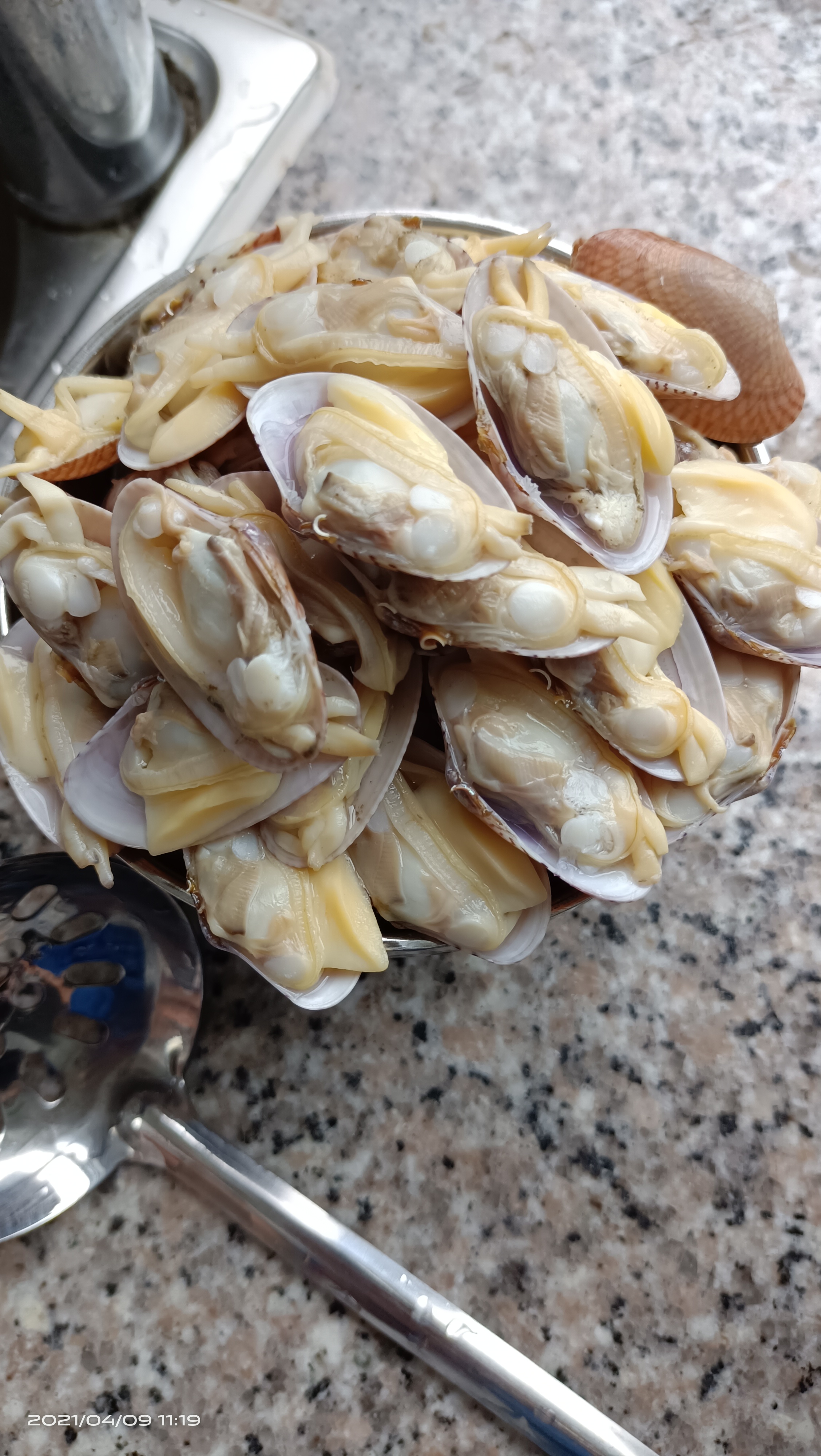 中午老婆做的生蚝花甲粉丝煲